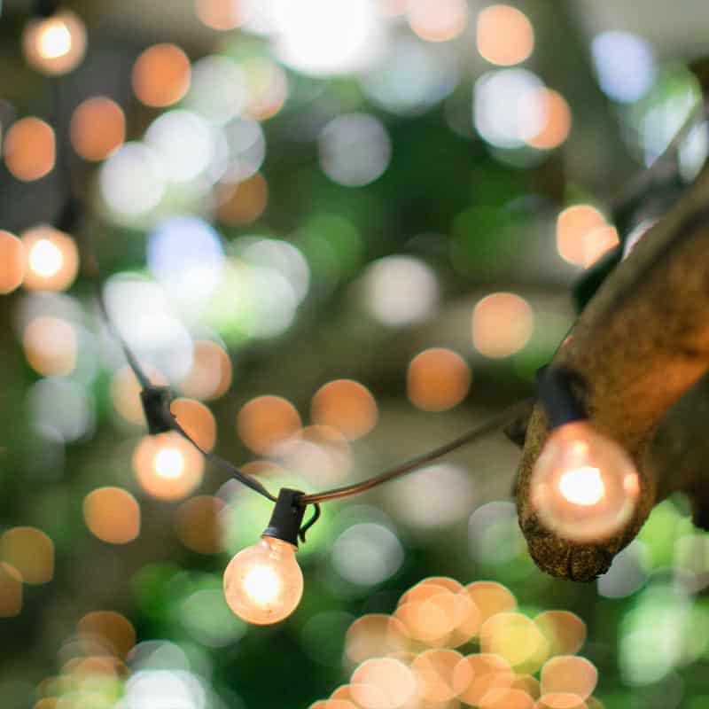 Light Up Your Next Event