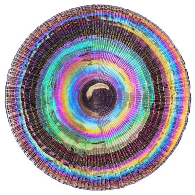 Iridescent Chameleon