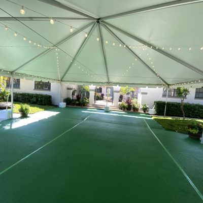 Green Astro Turf